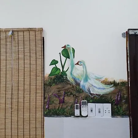 Homestay Da Nang Full House Exterior photo